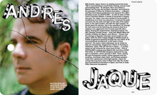 Load image into Gallery viewer, PIN–UP MAGAZINE: ISSUE 35 ENVIRONMENTS! (LA HORDE COVER)