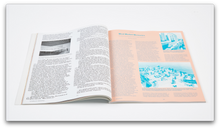 Load image into Gallery viewer, PIN–UP MAGAZINE: ISSUE 8