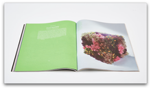 Load image into Gallery viewer, PIN–UP MAGAZINE: ISSUE 6