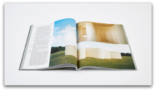 Load image into Gallery viewer, PIN–UP MAGAZINE: ISSUE 20