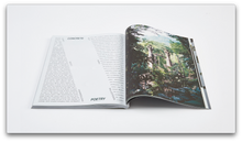 Load image into Gallery viewer, PIN–UP MAGAZINE: ISSUE 20