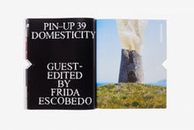 Load image into Gallery viewer, PIN–UP MAGAZINE: ISSUE 39 &quot;DOMESTICITY&quot;
